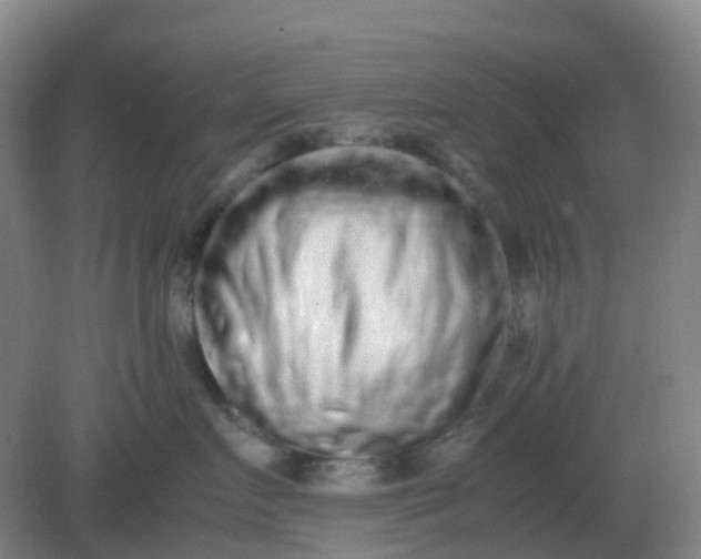 X0000082200719200702021844