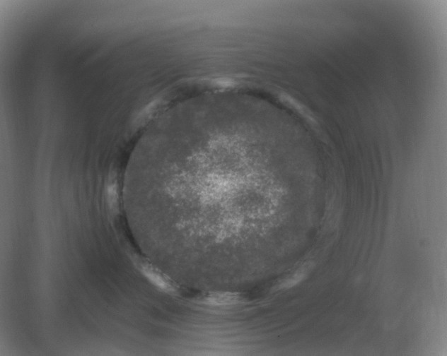 X0000082200720200702021844