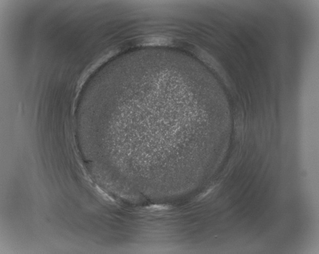 X0000082200721200702021843