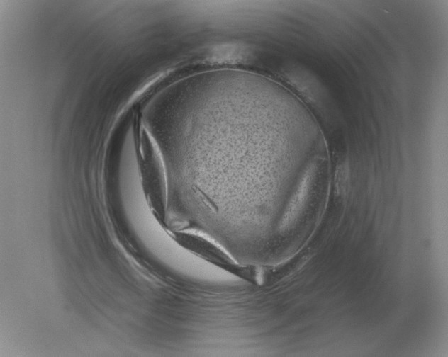 X0000082200722200702021843