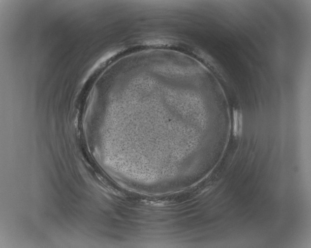 X0000082200723200702021843