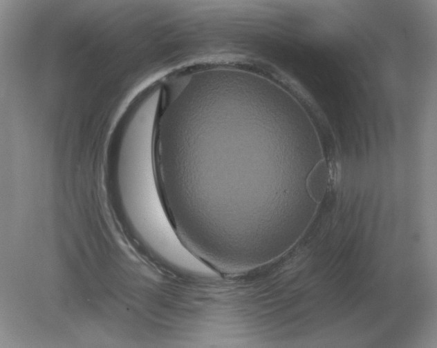 X0000082200724200702021843