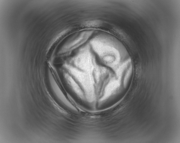 X0000082200725200702021843