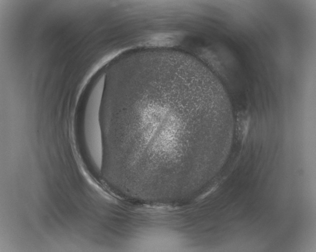 X0000082200726200702021843