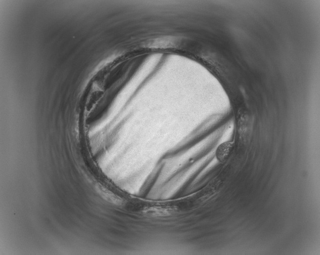 X0000082200727200702021843