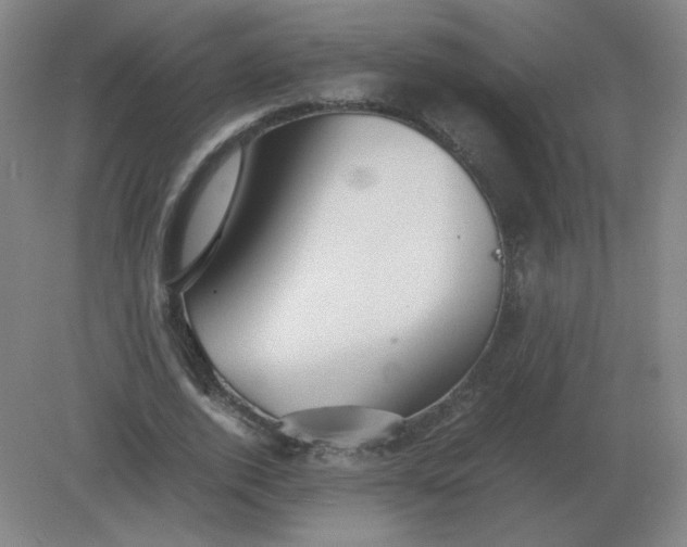 X0000082200728200702021843