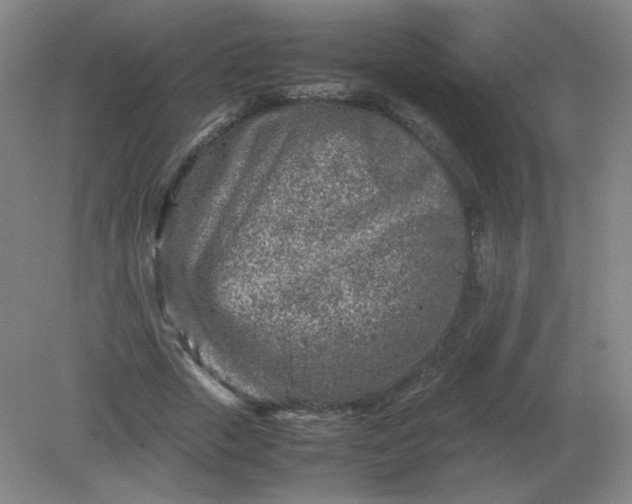 X0000082200729200702021843