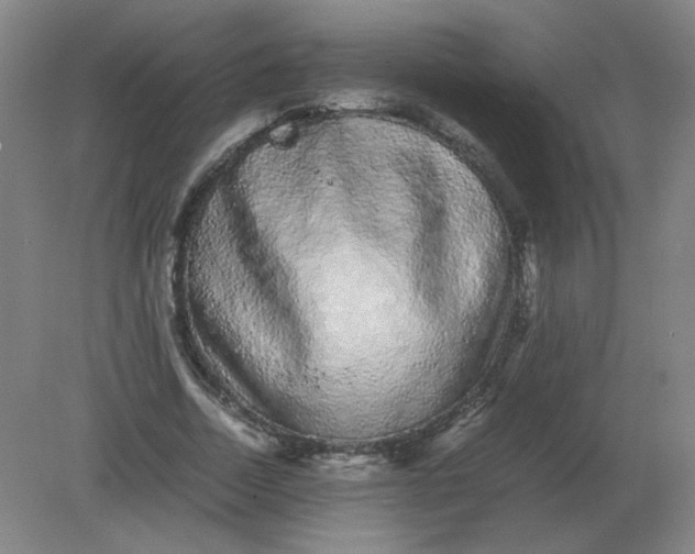 X0000082200730200702021843