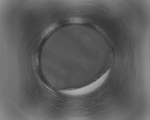 X0000082200731200702021843