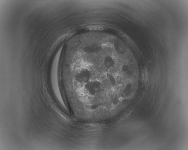 X0000082200733200702021843