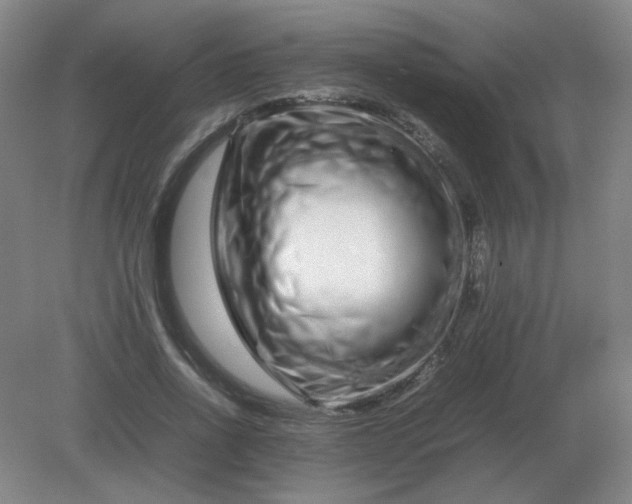 X0000082200734200702021843