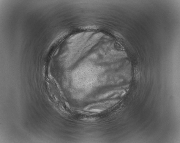 X0000082200735200702021843