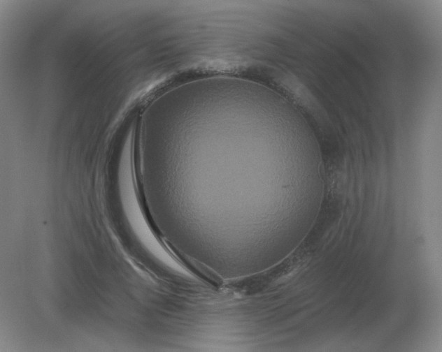 X0000082200736200702021843