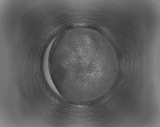 X0000082200737200702021843