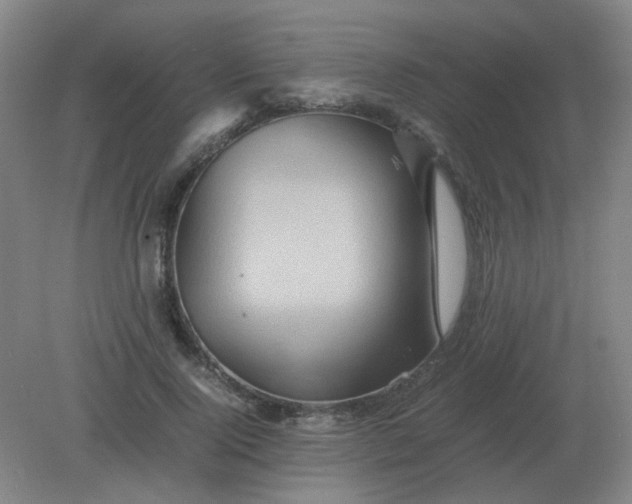 X0000082200740200702021843