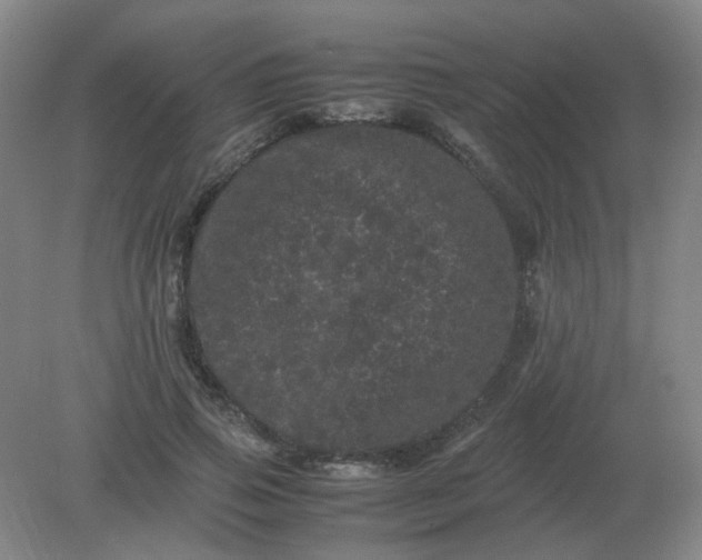 X0000082200741200702021843