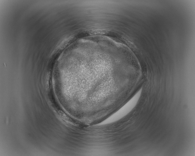 X0000082200742200702021844