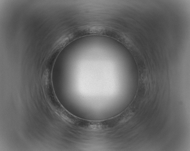 X0000082200744200702021844