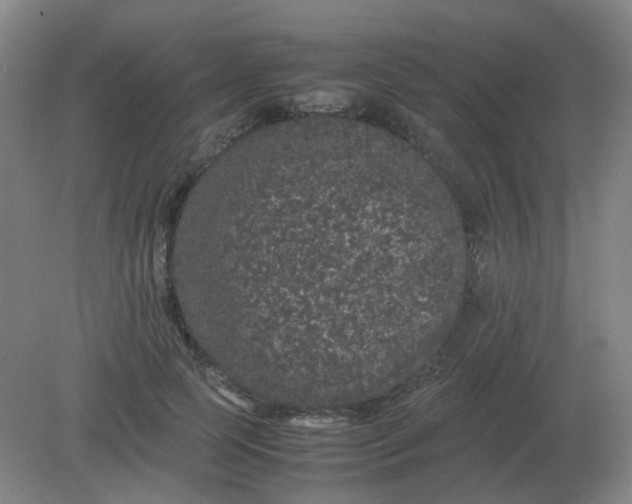 X0000082200745200702021844