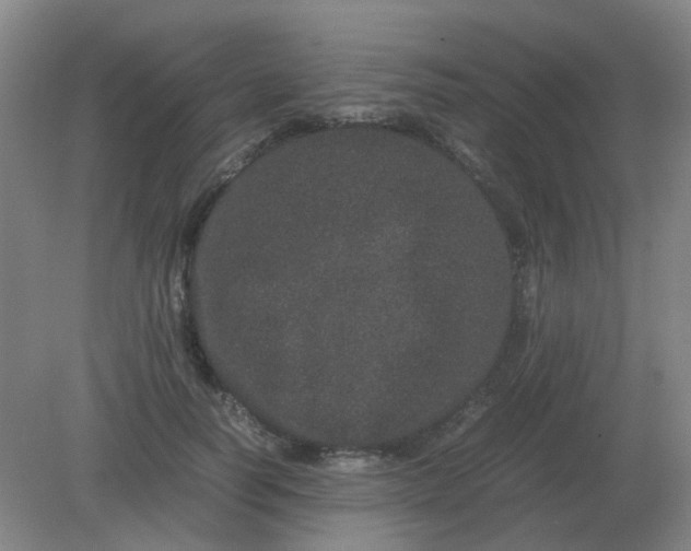 X0000082200746200702021844