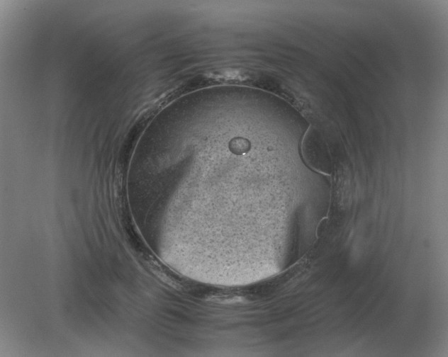 X0000082200747200702021844