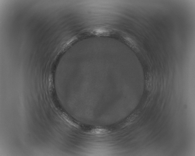 X0000082200748200702021844