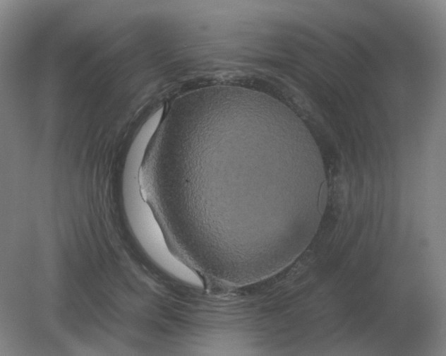 X0000082200750200702021844