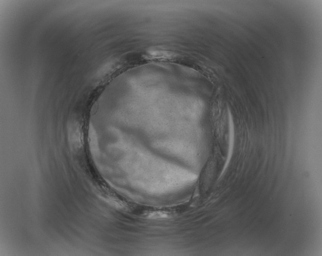 X0000082200751200702021844