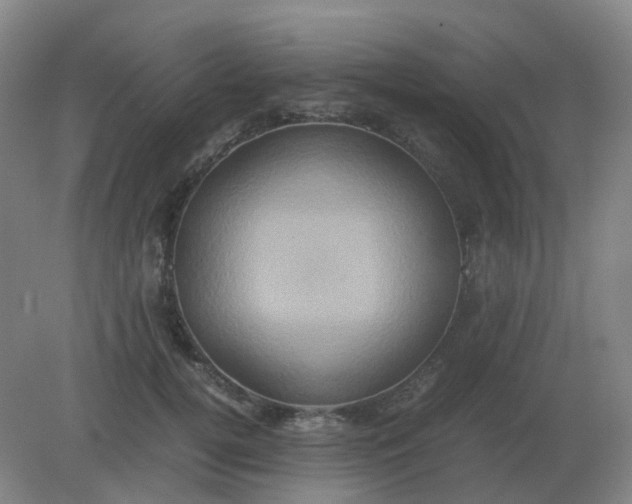 X0000082200752200702021844