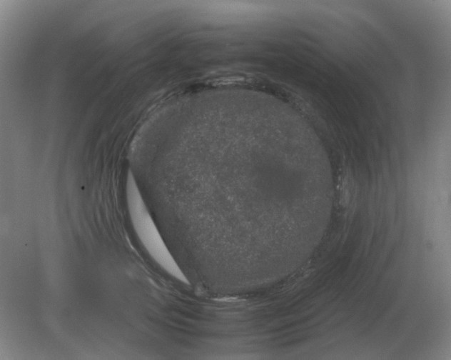 X0000082200753200702021844