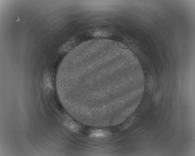 X0000082200755200702021844