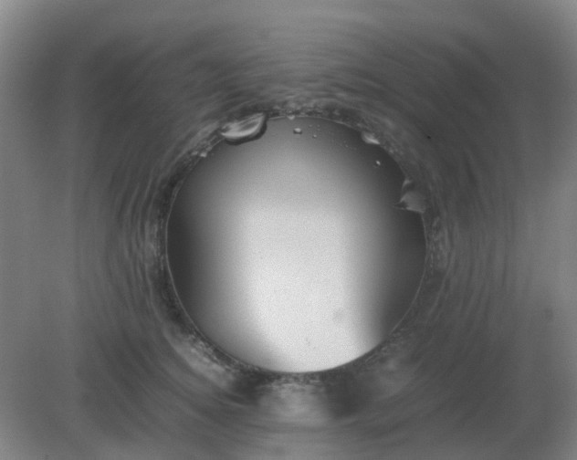 X0000082200756200702021844