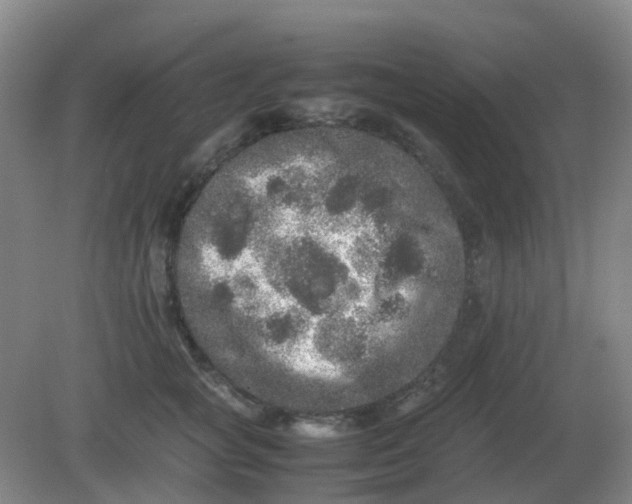 X0000082200757200702021844