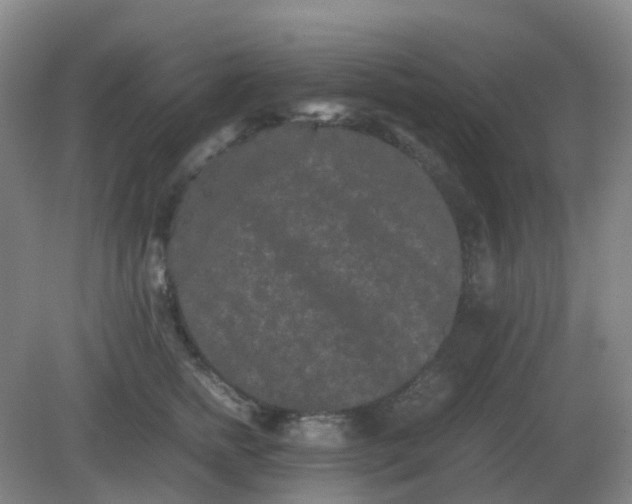 X0000082200758200702021844