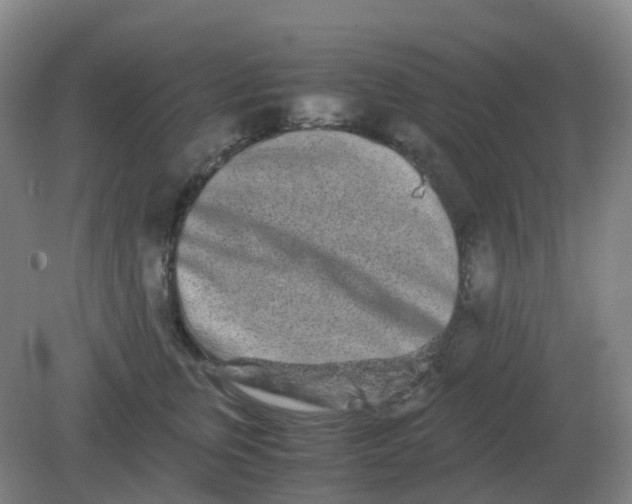 X0000082200759200702021844