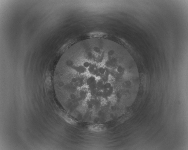 X0000082200761200702021844