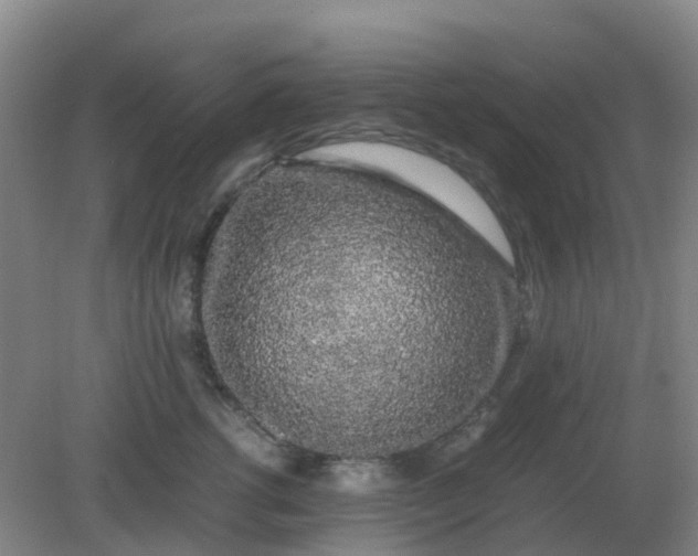 X0000082200762200702021844