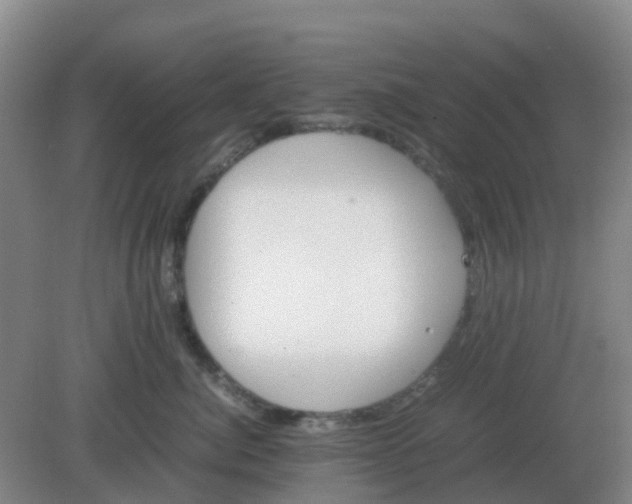 X0000082200764200702021844