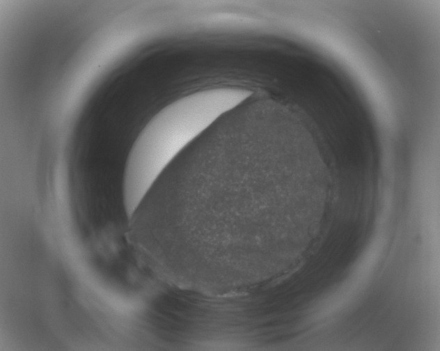 X0000082200765200702021844