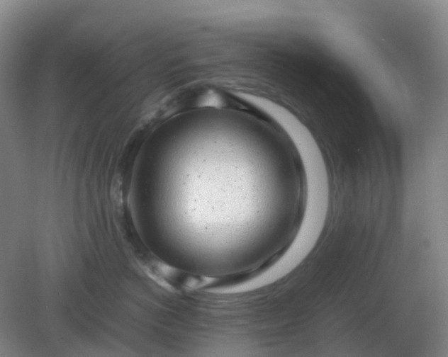 X0000082200766200702021844