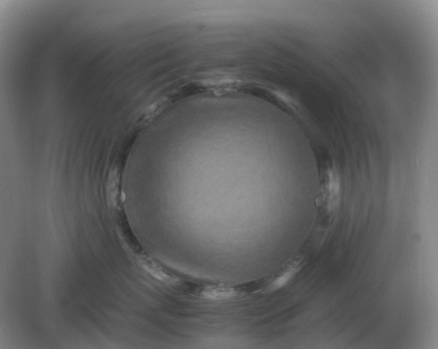 X0000082200767200702021844