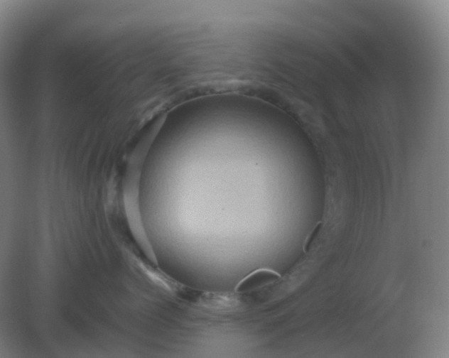 X0000082200768200702021844