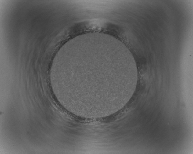 X0000082200769200702021843