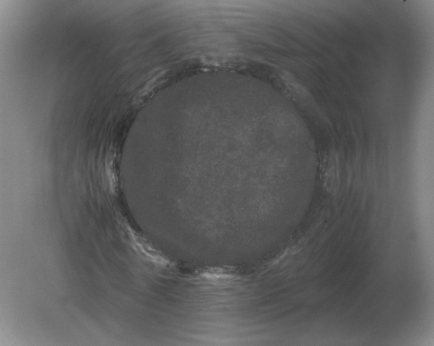 X0000082200770200702021843