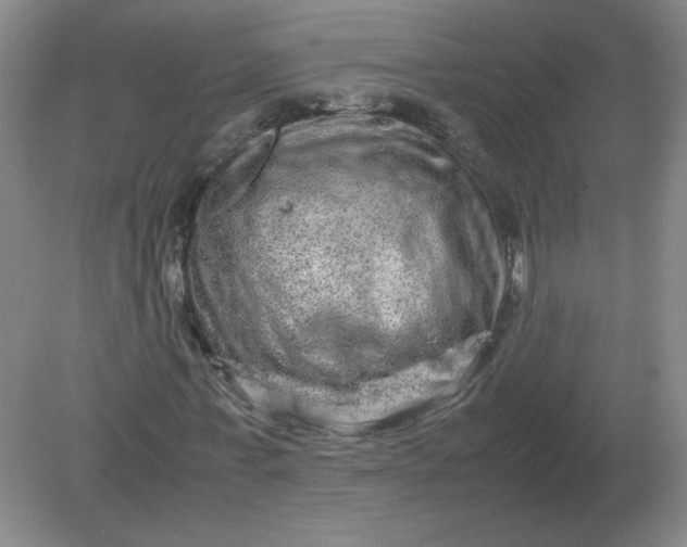 X0000082200771200702021843