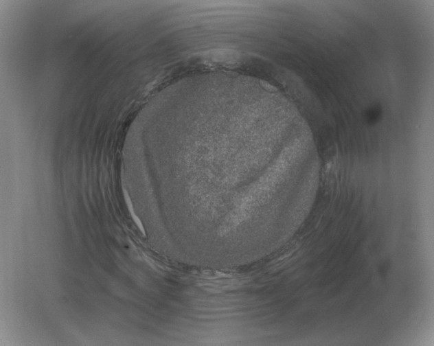 X0000082200772200702021843