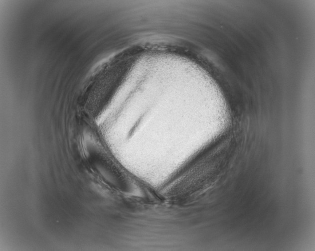 X0000082200775200702021843