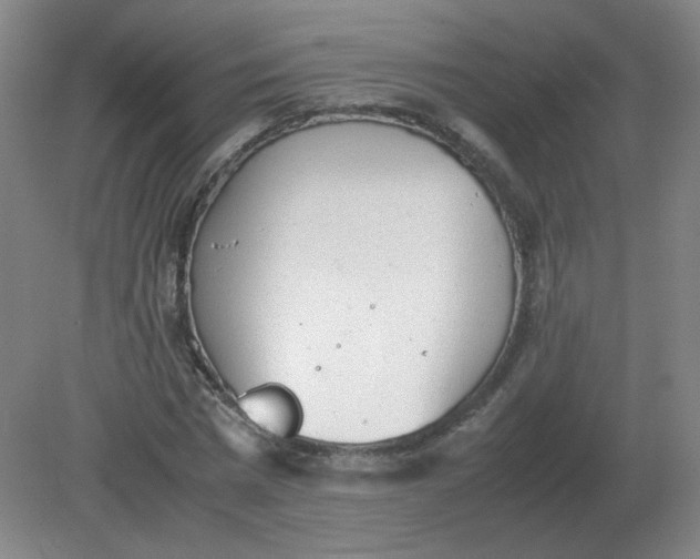 X0000082200777200702021843