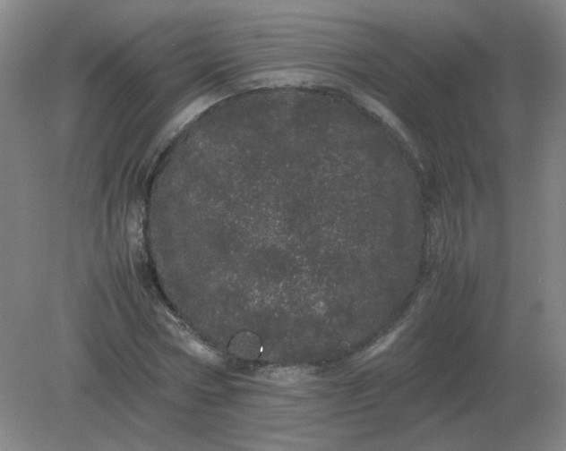 X0000082200778200702021843