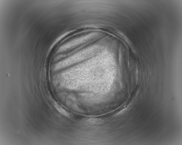 X0000082200779200702021843